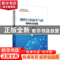 正版 钢铁行业温室气体减排机会指南 杨宏伟,郭敏晓著 中国经济