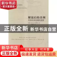 正版 解放后的非洲:非洲未来发展的蓝图 加纳,乔治·B.N.阿耶提 民