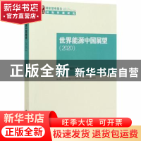 正版 世界能源中国展望(2020)/国家智库报告 王永中//田慧芳 中国