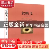 正版 贺鹏飞:原始主义与抽象主义画家 贺鹏飞著 安徽美术出版社