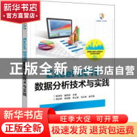 正版 Excel 2019数据分析技术与实践 陈清华,施莉莉 电子工业出版