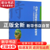 正版 内蒙古边境特色小城镇建设推动中蒙俄经贸合作研究 李琪 经