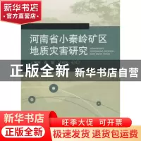 正版 河南省小秦岭矿区地质灾害研究 王现国 中国地质大学出版社