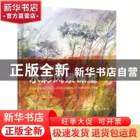 正版 世界绘画经典教程:水彩风景课堂 [英]安·布洛基 人民邮电出