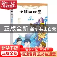 正版 小镇的秘密:3:叠世界 宋耀珍著 希望出版社 9787537979955