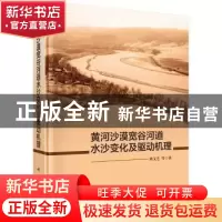 正版 黄河沙漠宽谷河道水沙变化及驱动机理 姚文艺 等 科学出版社