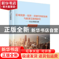 正版 区域资源—经济—环境可持续发展与能源互联网研究:以京津冀