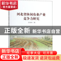 正版 河北省休闲农业产业竞争力研究 王丽丽著 中国社会科学出版