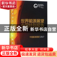 正版 世界能源展望中国特别报告 国际能源署编著 石油工业出版社