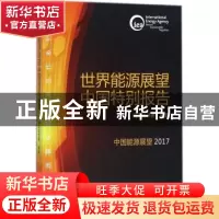 正版 世界能源展望中国特别报告 国际能源署编著 石油工业出版社