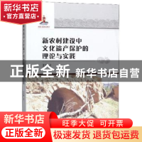 正版 新农村建设中文化遗产保护的理论与实践 王琳 天津社会科学