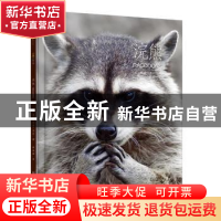 正版 浣熊 (美)梅利莎·吉什著 浙江文艺出版社 9787533939960 书