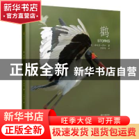 正版 鹳 梅利莎·吉什 浙江文艺出版社 9787533947804 书籍