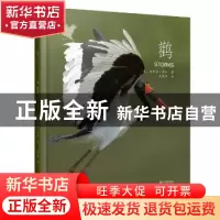 正版 鹳 梅利莎·吉什 浙江文艺出版社 9787533947804 书籍