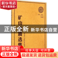 正版 矿山地质选集:第八卷:铅锌矿山找矿新成就 汪贻水,彭觥,肖