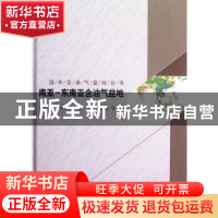 正版 南亚-东南亚含油气盆地 朱伟林,胡平,江文荣等著 科学出版