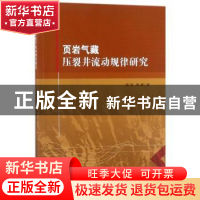 正版 页岩气藏压裂井流动规律研究 郭肖,黄婷著 科学出版社 9787