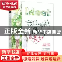 正版 我们刚刚好,遇见最美好 赤焰冷 花山文艺出版社 9787551124