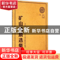 正版 矿山地质选集:第四卷:矿山地质与地球物理新进展 汪贻水,彭