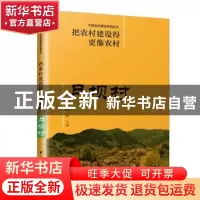 正版 把农村建设得更像农村?月坝村 陈晓 江苏凤凰科学技术出版社