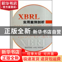 正版 XBRL实用案例剖析 刘世平,罗黎明,董凤江编著 经济科学出