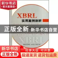 正版 XBRL实用案例剖析 刘世平,罗黎明,董凤江编著 经济科学出