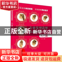 正版 专业发型造型教程:入门篇 张蓬 人民邮电出版社 97871154893