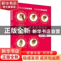 正版 专业发型造型教程:入门篇 张蓬 人民邮电出版社 97871154893