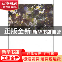 正版 色彩风景写生教程 张洪亮 中国电力出版社 9787512307247 书