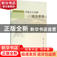 正版 中国大兴安岭蛾类图谱 王凤霞,卢旭弘主编 中国林业出版社