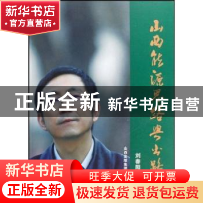 正版 山西能源思路与出路:山西能源高层访谈录 刘春阳 山西人民出