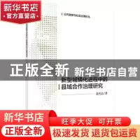 正版 新型城镇化进程中的县域合作治理研究 姜庆志著 科学出版社