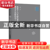 正版 我把十八年前的那场鹅毛大雪想出来了 吕新著 北岳文艺出版