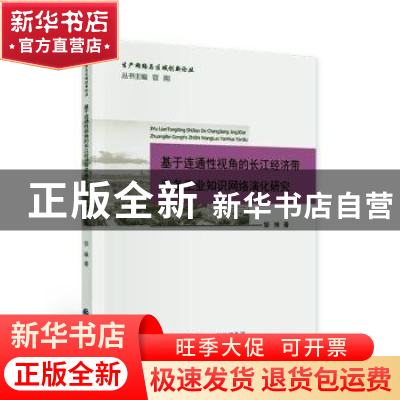 正版 基于连通性视角的长江经济带装备工业知识网络演化研究/生产