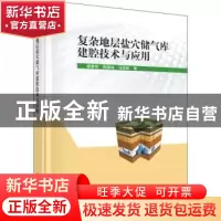 正版 复杂地层盐穴储气库建腔技术与应用 杨春和//施锡林//马洪岭