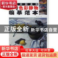 正版 从附中到美院高考色彩静物临摹范本 杨学君主编 吉林美术出