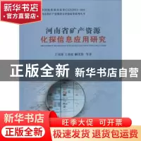 正版 河南省矿产资源化探信息应用研究 丁汉铎[等]著 中国地质大