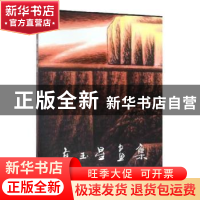 正版 高玉星画集 绘画:高玉星 天津人民美术出版社 9787530589069