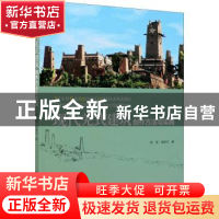 正版 现代羌式建筑创作方法与实践 成斌,侯新文 中国建筑工业出版