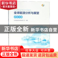 正版 全球能源分析与展望:2018 国网能源研究院有限公司编著 中国
