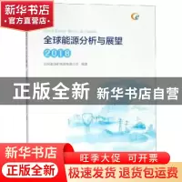 正版 全球能源分析与展望:2018 国网能源研究院有限公司编著 中国