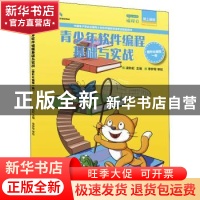 正版 青少年软件编程基础与实战 图形化编程一级 凌秋虹 人民邮电