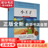 正版 小王子 安东尼·德·圣-埃克苏佩里著 湖南文化音像出版社 978