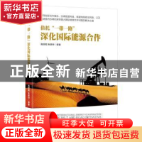 正版 依托“一带一路”深化国际能源合作 高世宪,朱跃中等著 中