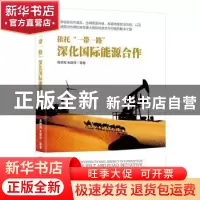 正版 依托“一带一路”深化国际能源合作 高世宪,朱跃中等著 中