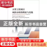 正版 大型工程项目风险分析的理论与实践 李金亭,左小德著 暨南