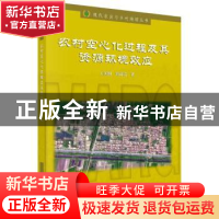 正版 农村空心化过程及其资源环境效应 王国刚,刘彦随 科学出版