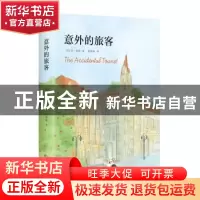 正版 意外的旅客 (美)安·泰勒 百花文艺出版社 9787530672617