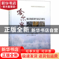 正版 哈尔滨城市地质调查及综合研究 王逊[等]著 中国地质大学出