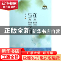 正版 在天堂与天堂之间 张夷著 中国书籍出版社 9787506834766 书